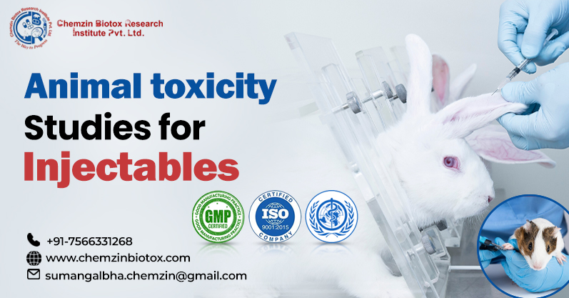 Importance of Animal Toxicity Studies for Injectables | Chemzin Biotox Research Institute Pvt. Ltd.