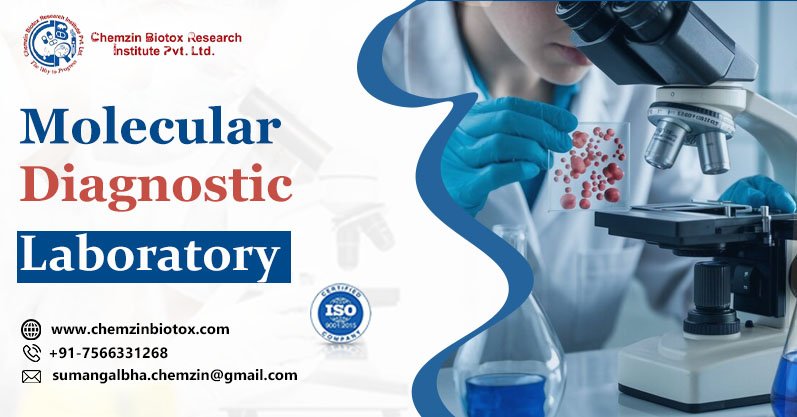 What is a Molecular Diagnostic Laboratory ? | Chemzin Biotox Research Institute Pvt. Ltd.